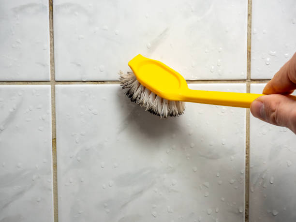 Best Professional Mold Removal  in Des Moines, IA