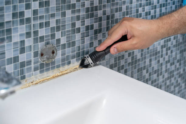 Professional Mold Removal in Des Moines, IA
